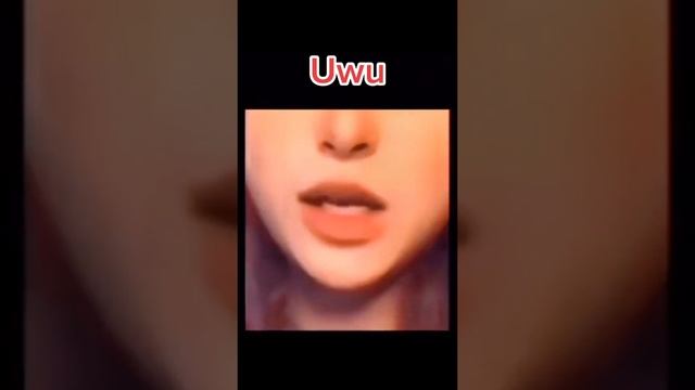 Uwu смотреть онлайн