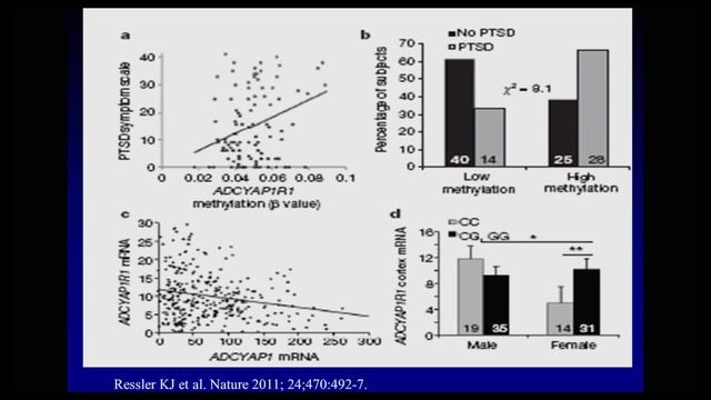Solving the Puzzle of Asthma Disparities смотреть онлайн