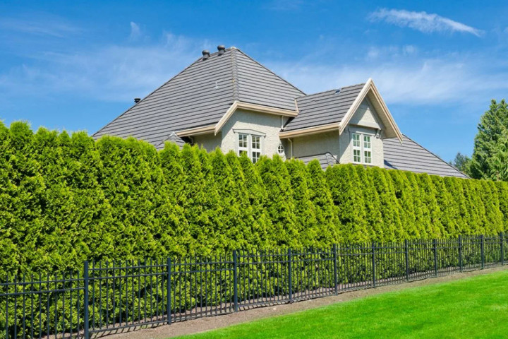 Топ-10 лучших заборов для загородного дома смотреть онлайн