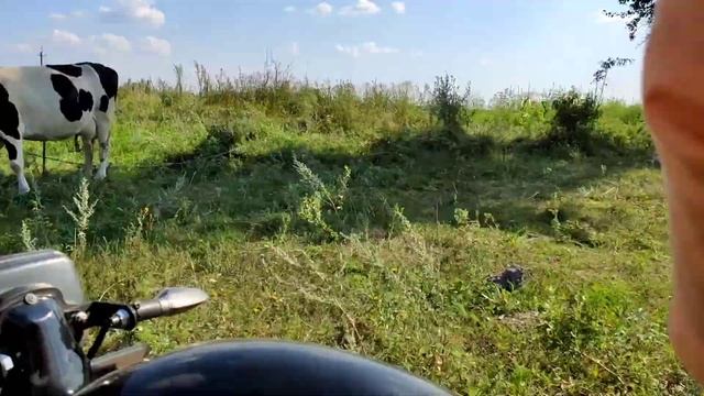 Путешествуем на Мотоцикле с коляской. ЧАСТЬ 2. Обкатка Касика К-750 третий забег более 200 км смотреть онлайн