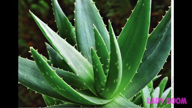 Как удалить ТЕМНЫЕ КРУГИ естественным путем за 4 ДНЯ? Уход за кожей вокруг глаз смотреть онлайн