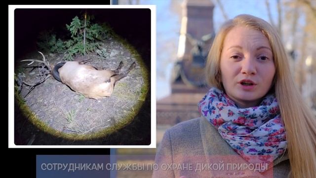 PPJ News / Как животные страдают от нашего мусора смотреть онлайн