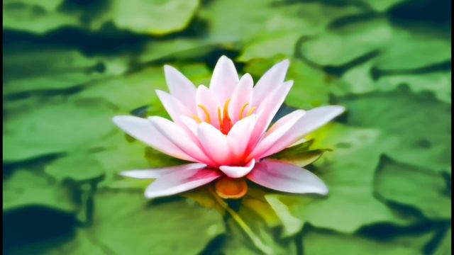 Meditation for sleep / Медитация для сна / Relax смотреть онлайн