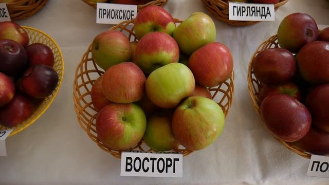 Селекция яблони смотреть онлайн