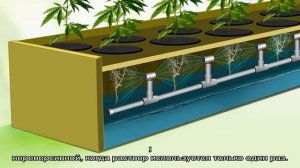 Аэропоника своими руками для выращивания овощей