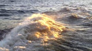 Волны на Ладожском озере