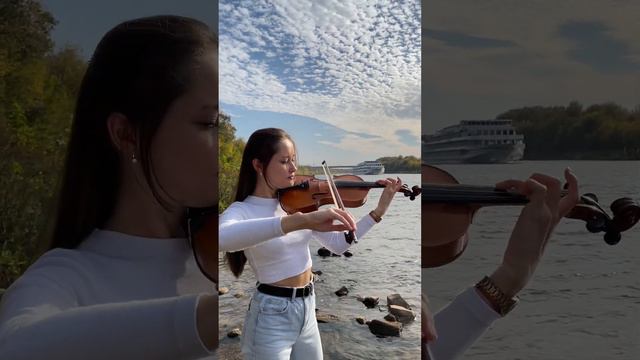 Celine Dion - My Heart Will Go On #violin #violinist #violincover #скрипка #титаник
