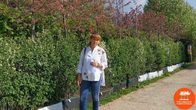 Анна Лозинская, ландшафтный дизайнер, арт-куратор ММФ "Сады и Люди" в "Питомнике Савватеевых" смотреть онлайн