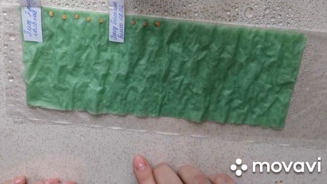 Сажаю томаты и перцы в улитку/как посадить в улитку/как посадить перцы, помидоры