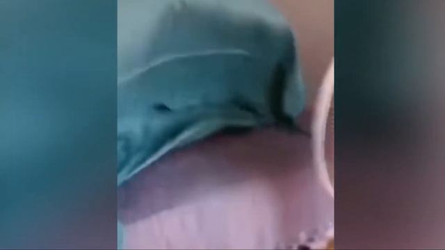 Они Не Знали, Что их Снимают! TOP СМЕШНЫЕ Моментов, Которые Случайно Попали На Камеру смотреть онлайн