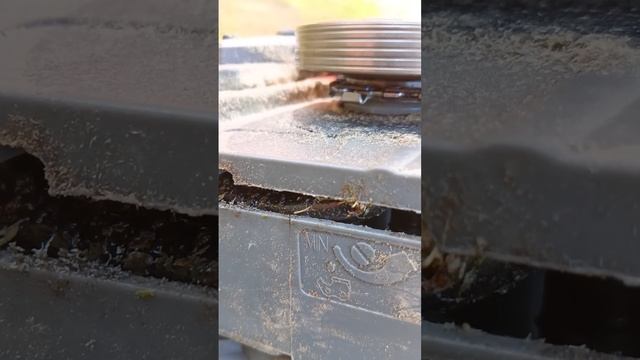 Бензопила Oasis GS-16, краткий обзор