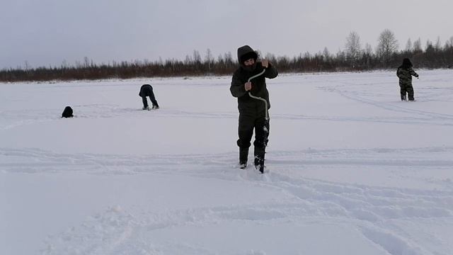первый лёд на озере ДОН ТЫ/ловля окуня/поиск хищника/рыбалка на севере смотреть онлайн
