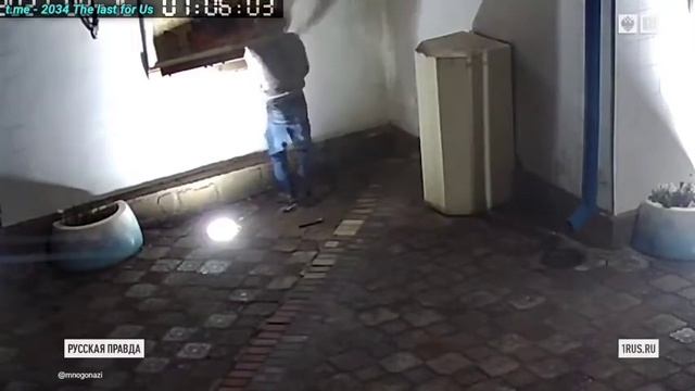 Мигранты избивают русских. смотреть онлайн