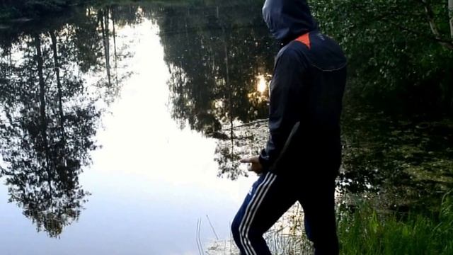 Рыбалка в саду //11.06.16 смотреть онлайн