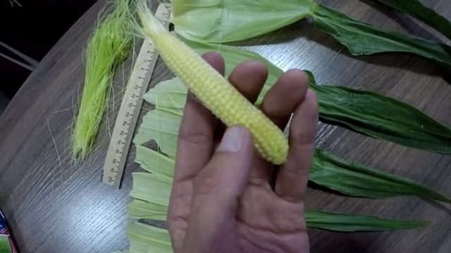 Сахарная кукуруза - серия 15. За 20 дней до уборки. Налив початка. смотреть онлайн