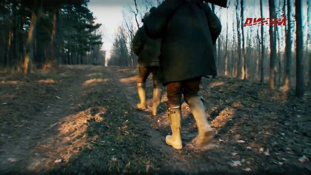 Венгрия. Территория охоты смотреть онлайн