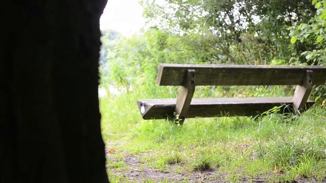 Nikon D5100 18-55 MM VR Video Test! смотреть онлайн