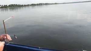 Рыбалка на кольцо на Волге в Ярославле