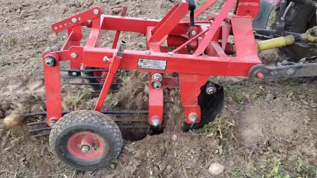 Коп картофеля переделанной мотоблочной картофелекопалкой на минитрактор МТЗ-132н.