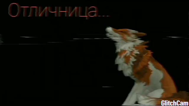 WCMV - Ты мой учитель,а я твоя школьница...😺💞✌ смотреть онлайн