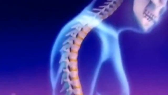 Корректор осанки магнитный Кипарис смотреть онлайн