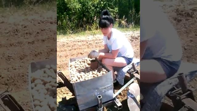 Самодельная картофелесажалка " бабовоз" для японского минитрактора смотреть онлайн