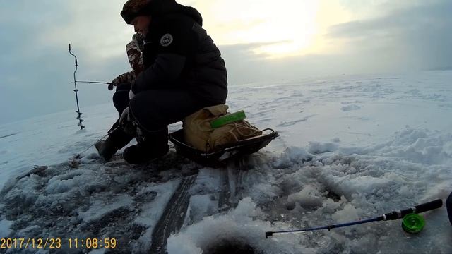 ЗИМНЯЯ РЫБАЛКА!ЛОВЛЯ СУДАКА!ЛОВЛЯ БЕРША!ТЮЛЬКА-БЛЕСНА!ЗИМНЯЯ РЫБАЛКА! смотреть онлайн
