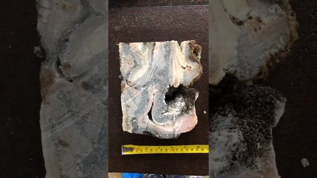 Фасованный Говяжий рубец