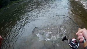 ЛОВЛЯ СИМЫ на спиннинг в Приморье! / River fishing / Catching salmon