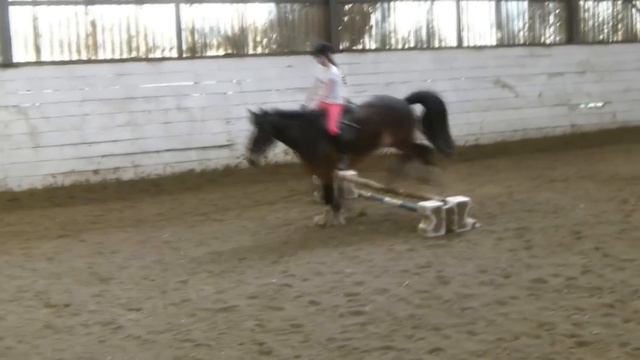 Riding Badger and Dillon with Lauren! смотреть онлайн