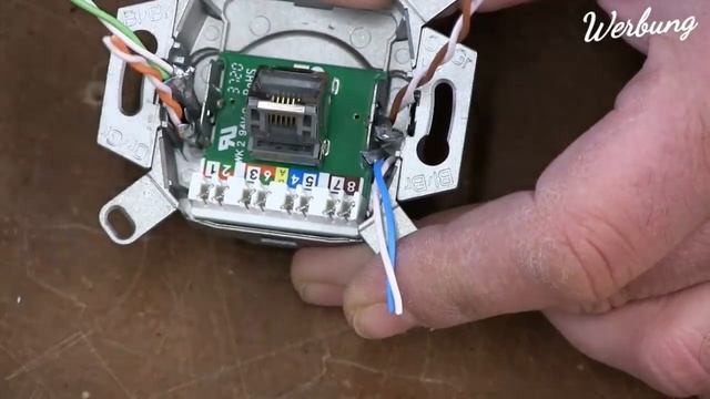 Netzwerkdose sauber verdrahten | Mit diesem Tricks kann das jeder | Proofwood смотреть онлайн