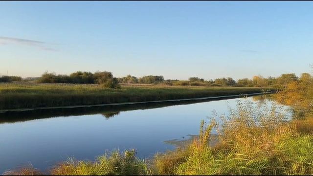 Ю. П. Полев смотреть онлайн