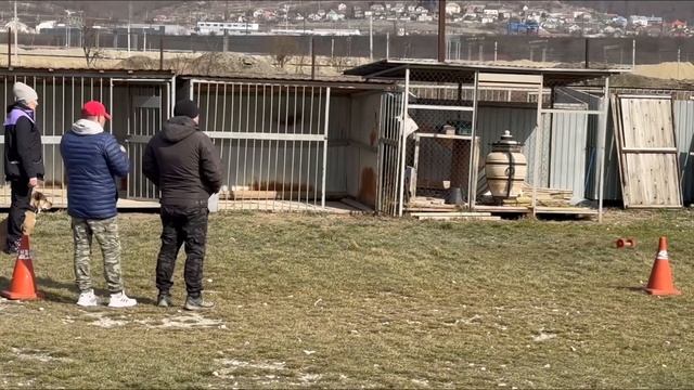 Бри схема ОКД вне зачета (Эл Коразон Дель Мар Бриджит 2г.) смотреть онлайн