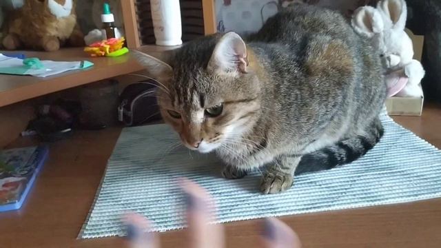 Последний аккорд лета смотреть онлайн