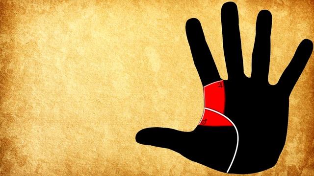 ВАРИАНТЫ НАЧАЛА ЛИНИИ ЖИЗНИ / хиромантия / Кладезь Хиромантии смотреть онлайн