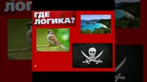 Познавательная игра «Где логика»