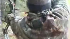 Охота на лося с луком Hoyt