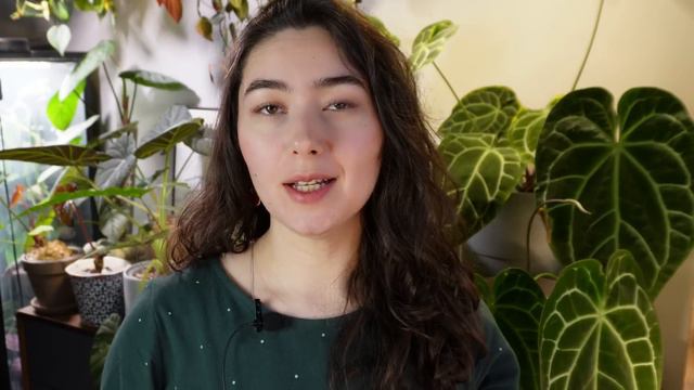 БЫЛО-СТАЛО: новинки марта 2023 через 10 МЕСЯЦЕВ | как изменились РАСТЕНИЯ смотреть онлайн