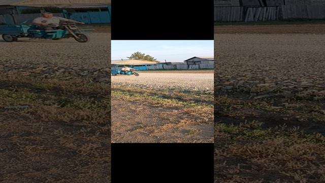 всякое разное