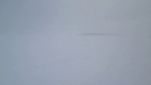 Черный Писец