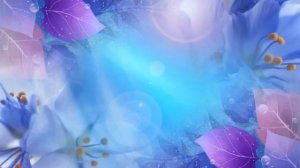 футаж цветы