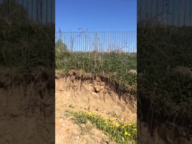 Стадион в Ликино смотреть онлайн