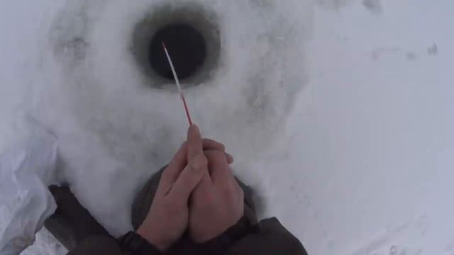 первый лед 21 22. открыл сезон по твердой воде. зимняя рыбалка новосибирский район смотреть онлайн