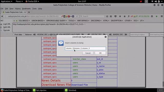 Sql Injection + Shell uploading via tamper data tutorial by Lulzsec India смотреть онлайн