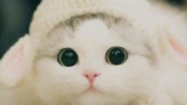 THE SIMS 4 || ПАПКА МОДС || МОД НА НОВЫЕ РЕЦЕПТЫ || LAMA LAMA