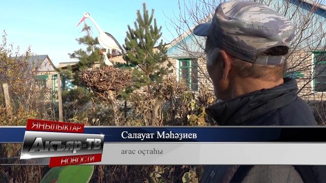 18.11.2022 Новости района смотреть онлайн