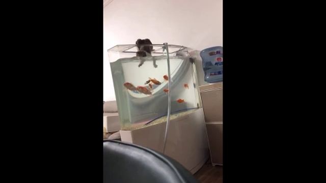 Что то пошло не по плану смотреть онлайн