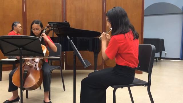 Trio Sonata in G Major by Georg Philip Telemann смотреть онлайн