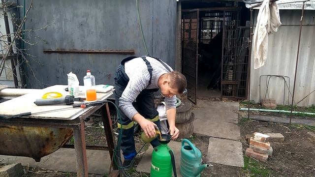 Железный купорос Весенняя обработка(опрыскивание) винограда железным купоросом #железныйкупорос