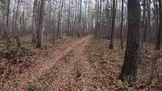 Распутье 2019 смотреть онлайн